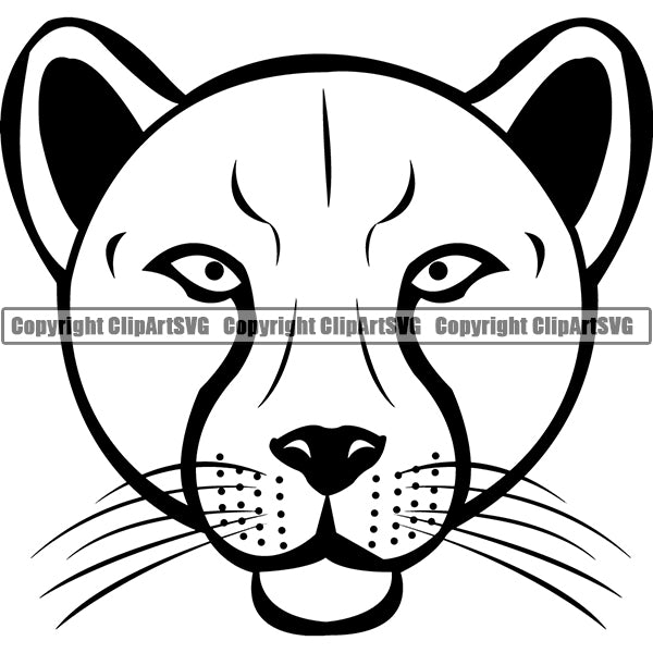 jaguar animal drawing face