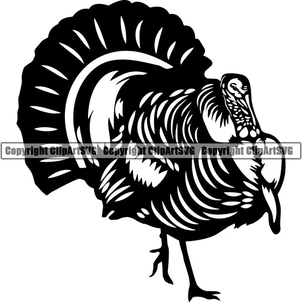 wild turkey clip art black and white