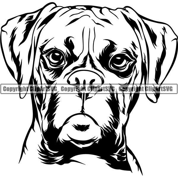 Boxer Dog Breed Head Face ClipArt SVG