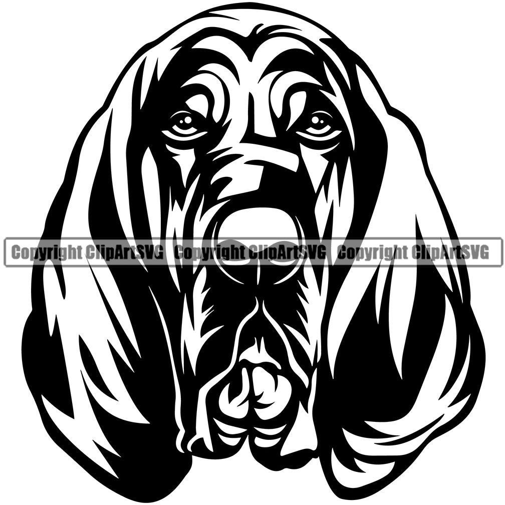 bloodhound dog clipart transparent