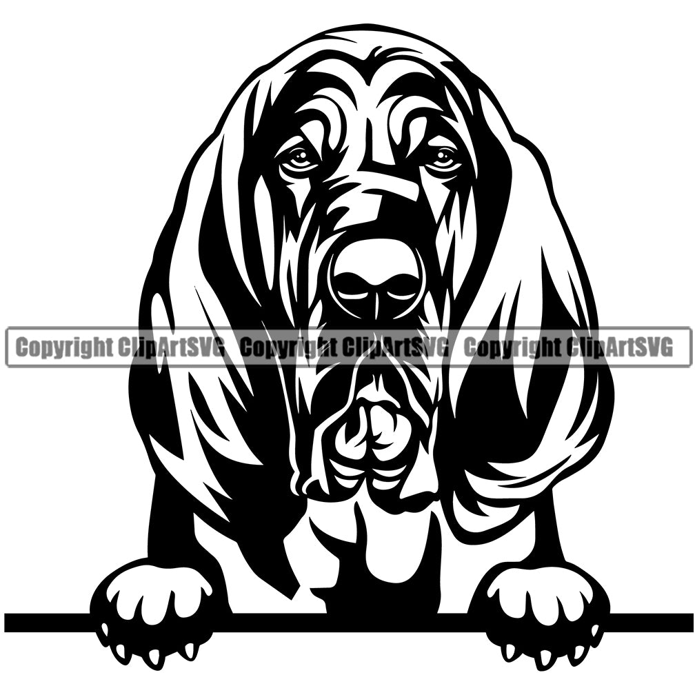 bloodhound dog clipart transparent