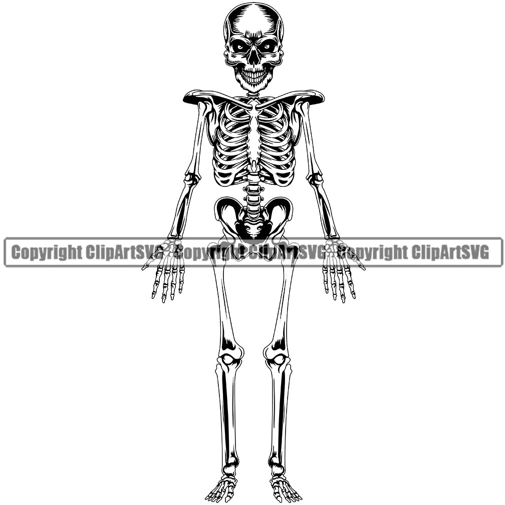 human skeleton clipart