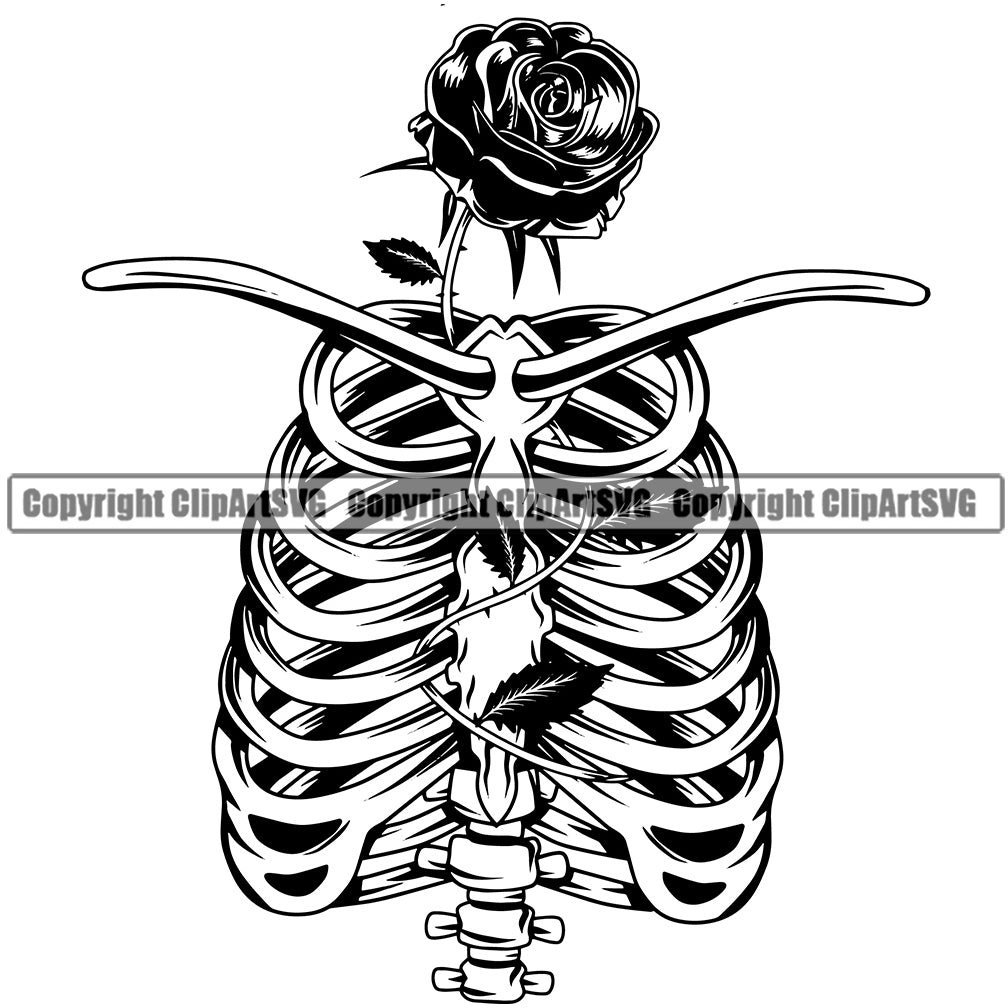 Skull Skeleton Rib Case Head Rose Black And White Vector Design