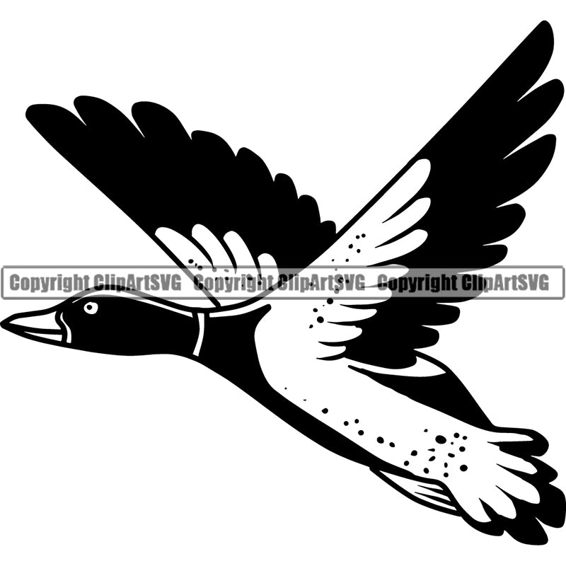 flying duck clipart black and white