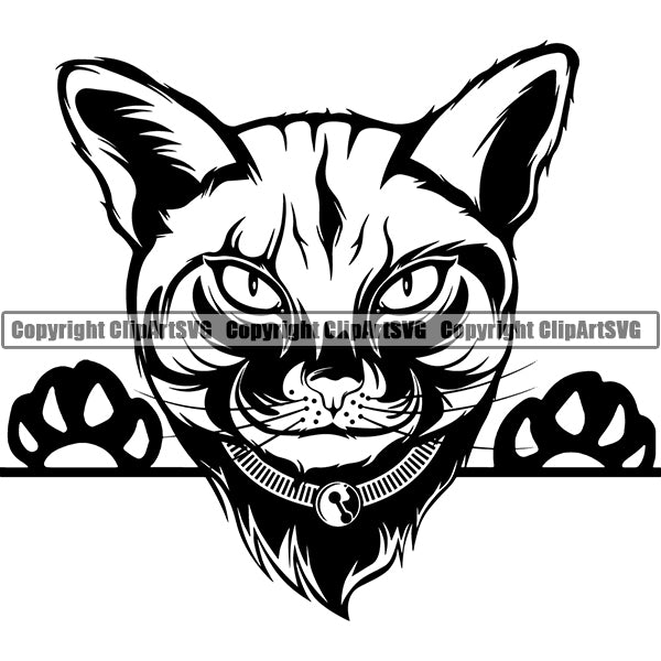 Cats Peeking – ClipArt SVG