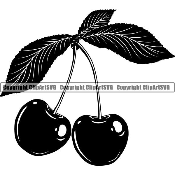 Food Cherry ClipArt SVG