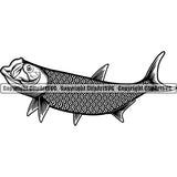 Sports Game Fishing Hunting Fish Hunt Fish Tarpon ClipArt SVG