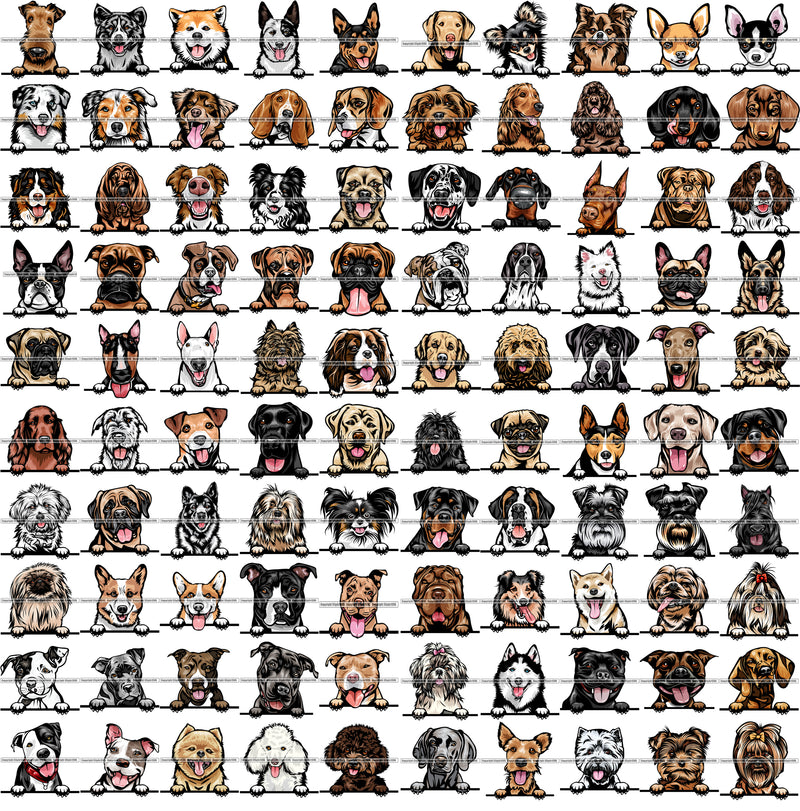 100 DOG BREEDS PEEKING Color Designs Volume 01 BUNDLE OF THE CENTURY RETAIL PRICE $300.00!