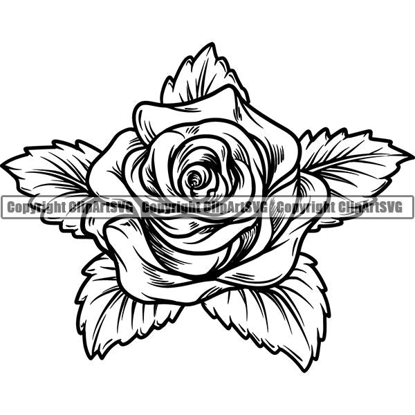 Nature Flower Rose jnn6sazz.jpg