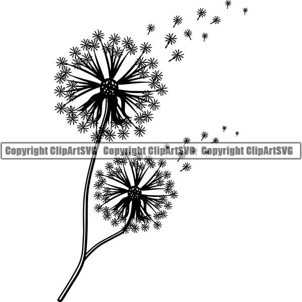 Nature Flower Dandelion 6yh7.jpg