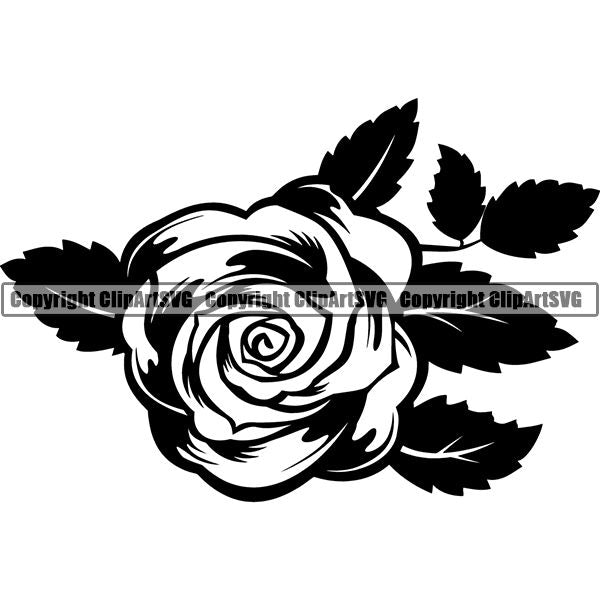 Nature Flower Rose 6mmdc4a.jpg