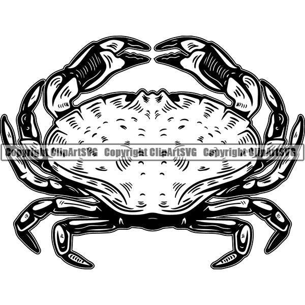 Food Crab ClipArt SVG