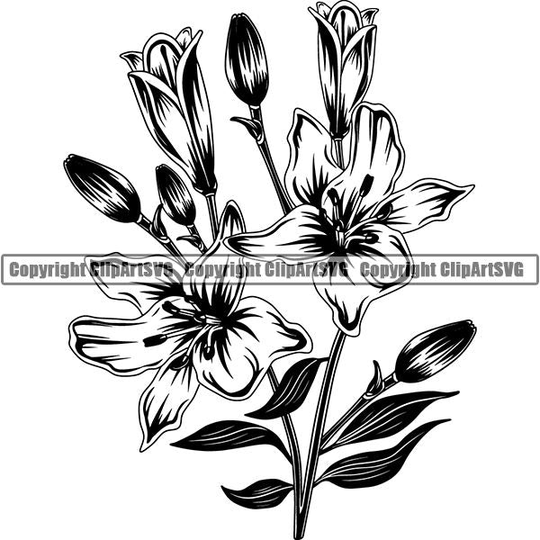 Nature Flower Lily 6yh6a.jpg