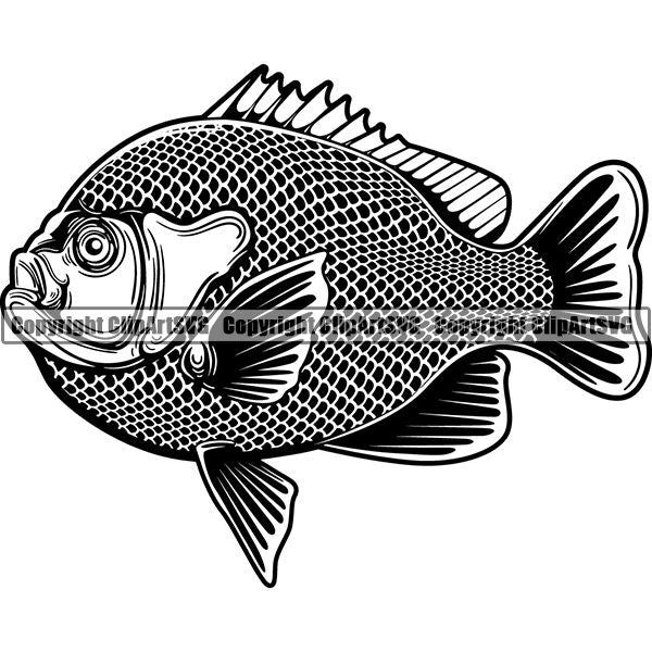 Sports Game Fishing Hunting Fish Hunt Fish Bluegill ClipArt SVG