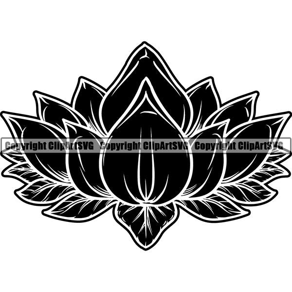 Nature Flower Lotus jnn6sa.jpg