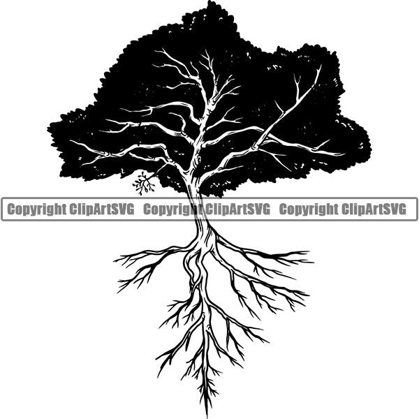 Nature Tree Roots 6yyh7.jpg