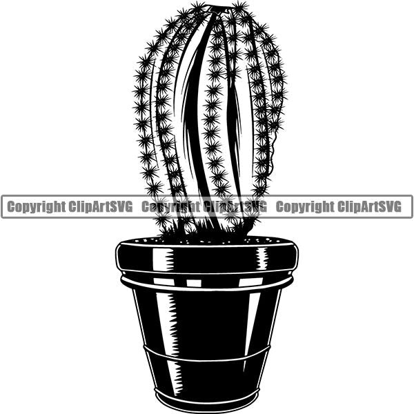 Nature Plant Catcus 7uuj8.jpg