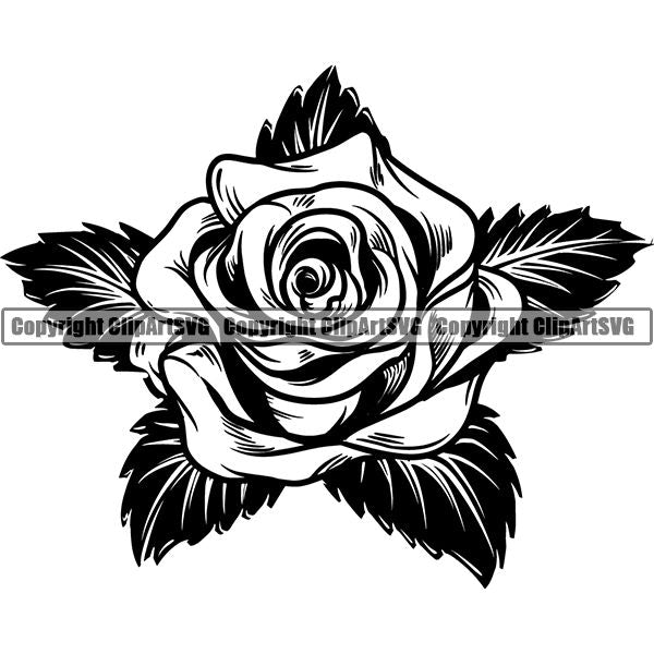 Nature Flower Rose jnn6sbwa.jpg