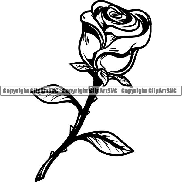 Nature Flower Rose 8iikk9bb.jpg