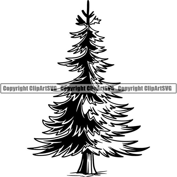 Nature Tree Pine 8iikk9b.jpg