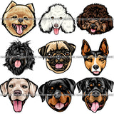 100 DOG BREED HEADS Color Designs Volume 01 BUNDLE OF THE CENTURY RETAIL PRICE $300.00!