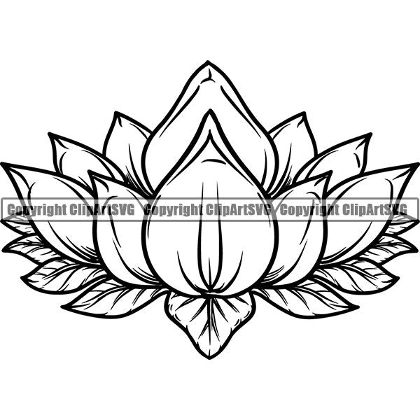 Nature Flower Lotus jnn6s.jpg