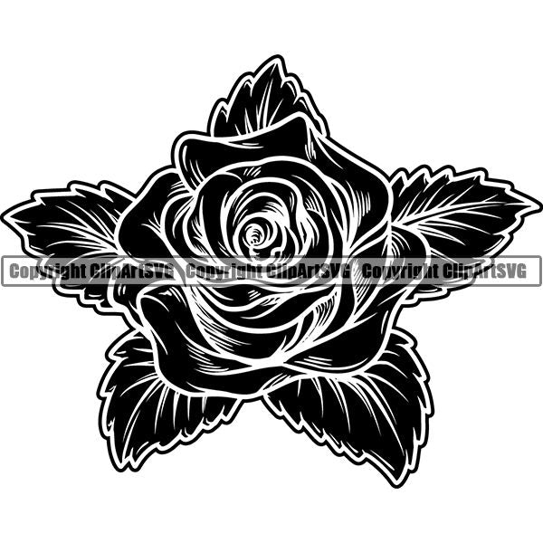 Nature Flower Rose jnn6saz.jpg