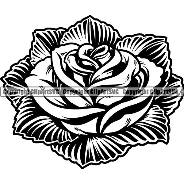 Nature Flower Rose 6ttg5.jpg