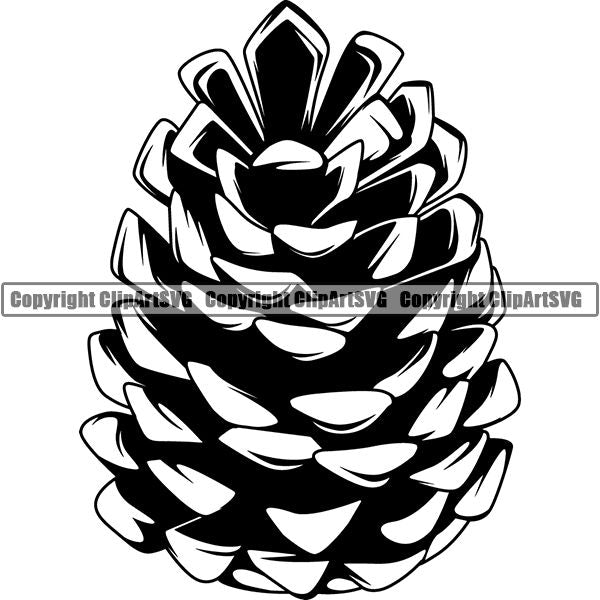 Nature Tree Pine Cone ggfgvb.jpg