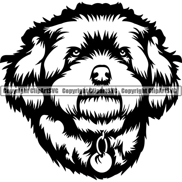 Maltipoo Dog Breed Head Face ClipArt SVG 001