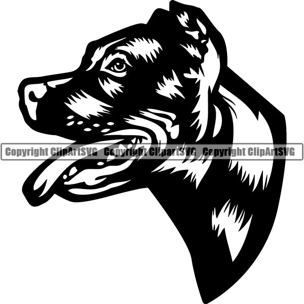 Pit Bull Dog Breed Head Face ClipArt SVG 001