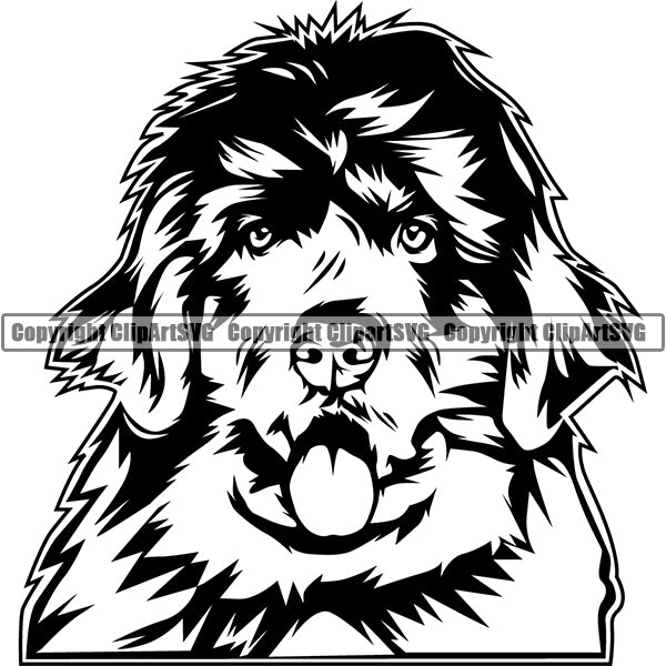 Newfoundland Dog Breed Head Face ClipArt SVG 001