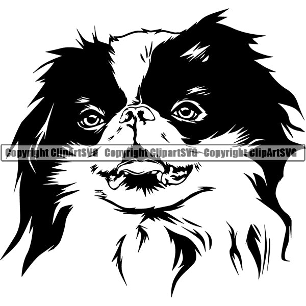 Japanese Chin Dog Breed Head Face ClipArt SVG 001