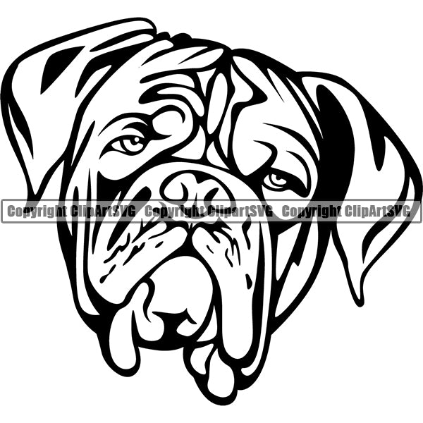 Animal Dog Dogue De Bordeaux Dog Breed Head Face ClipArt SVG 007