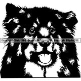 Finnish Lapphund Dog Breed Head Face ClipArt SVG 001