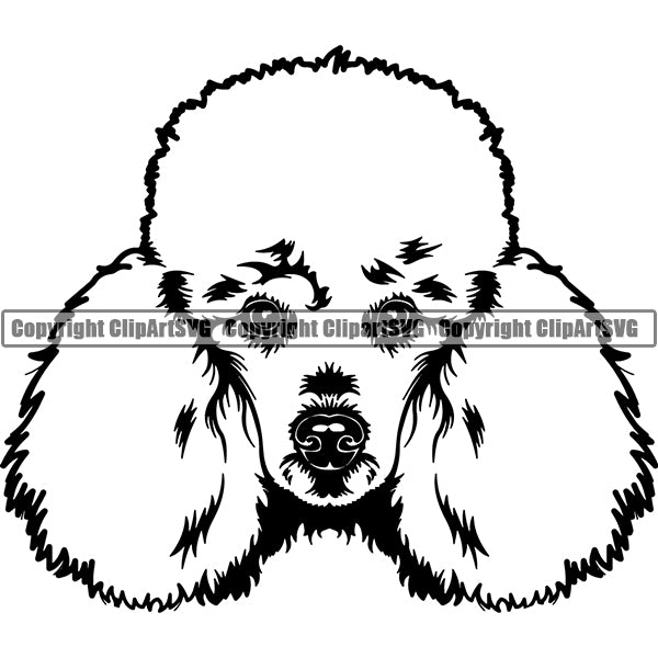 Poodle Dog Breed Head Face ClipArt SVG 002