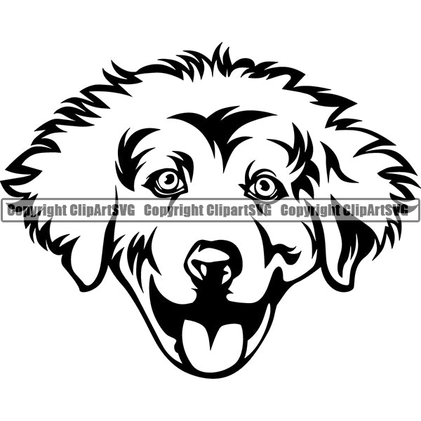 Great Pyrenees Dog Breed Head Face ClipArt SVG 002