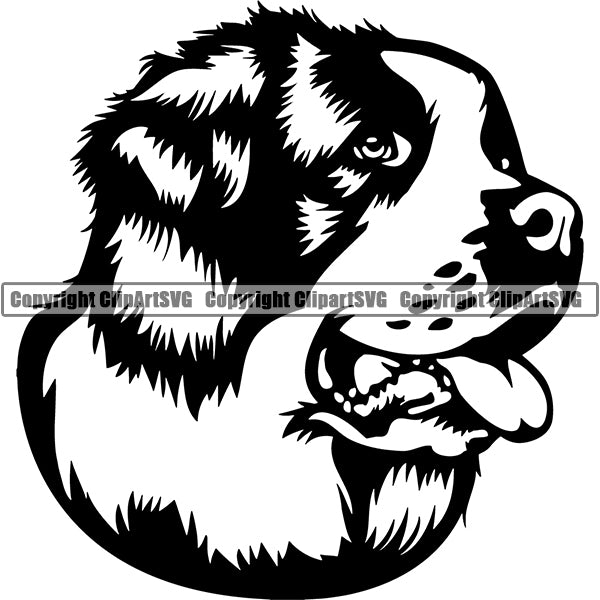 Saint Bernard Dog Breed Head Face ClipArt SVG 005