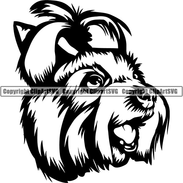 Yorkshire Terrier Dog Breed Head Face ClipArt SVG 003