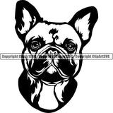French Bulldog Dog Breed Head Face ClipArt SVG 002