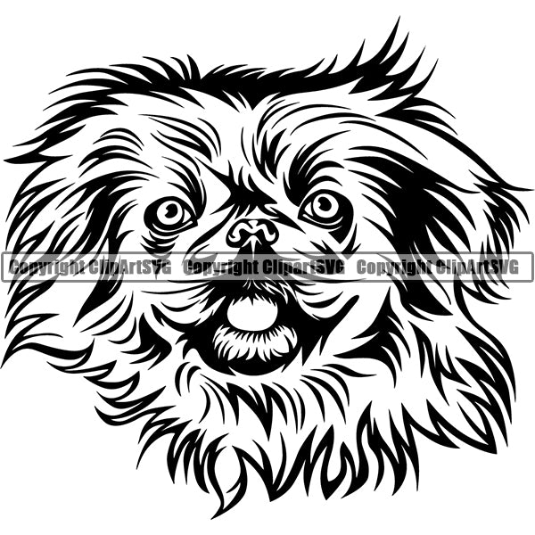 Pekingese Dog Breed Head Face ClipArt SVG 001