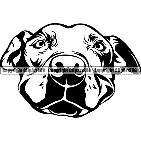 Pit Bull Dog Breed Head Face ClipArt SVG 033
