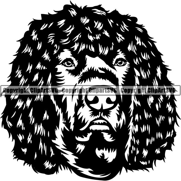Irish Water Spaniel Dog Breed Head Face ClipArt SVG 001