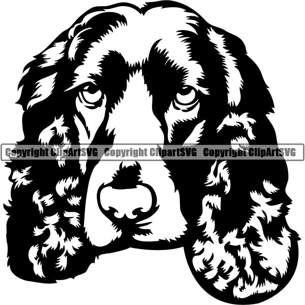 English Springer Spaniel Dog Breed Head Face ClipArt SVG 007