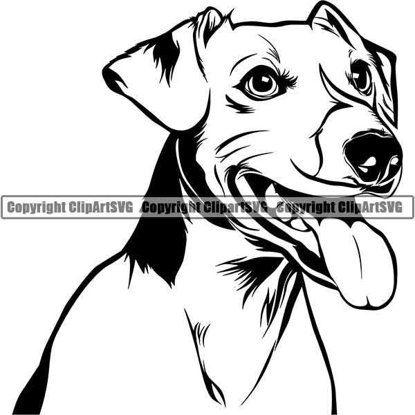 Jack Russell Terrier Dog Breed Head Face ClipArt SVG 011
