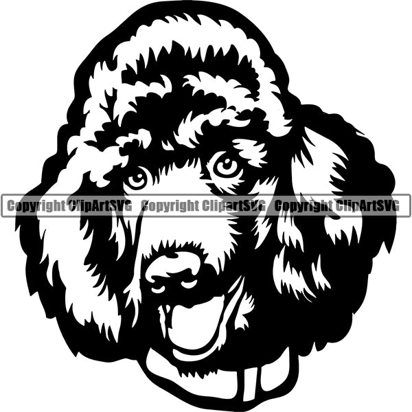 Poodle Dog Breed Head Face ClipArt SVG 007