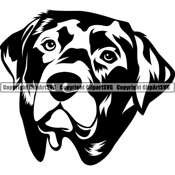Labrador Retriever Dog Breed Head Face ClipArt SVG 004
