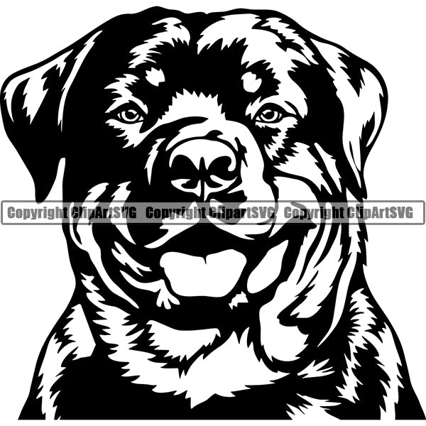 Rottweiler Dog Breed Head Face ClipArt SVG 005