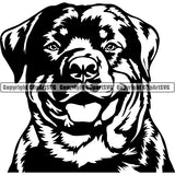 Rottweiler Dog Breed Head Face ClipArt SVG