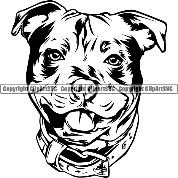 Staffordshire Bull Terrier Dog Breed Head Face ClipArt SVG 002